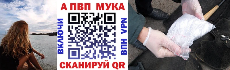 Где купить Каменногорск kraken ТОР  Альфа ПВП  МЕФ  Cocaine  Гашиш 