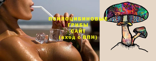 дурь Сатка