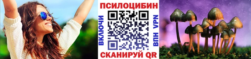наркота  Каменногорск  Галлюциногенные грибы MAGIC MUSHROOMS 