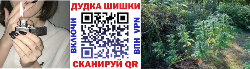 МАРИХУАНА SATIVA & INDICA  Каменногорск 